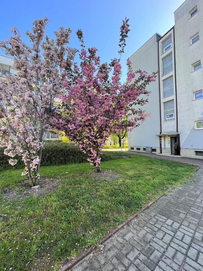 Al-dom Zaciszny Apartment